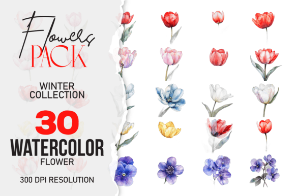Download Wild Floral Clipart, Watercolor Flower C - Wild floral clipart Collection